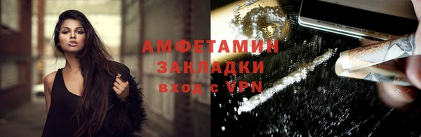индика Пестово