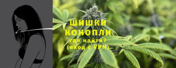 индика Пестово