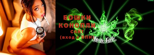 прущие грибы Переславль-Залесский