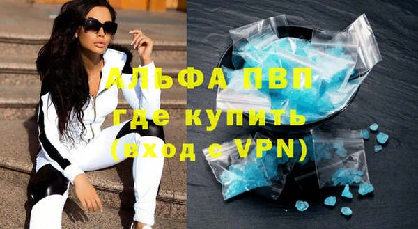 прущие грибы Переславль-Залесский