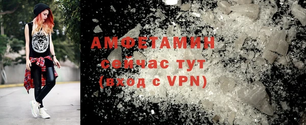 индика Пестово