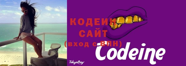 соль ск Пересвет
