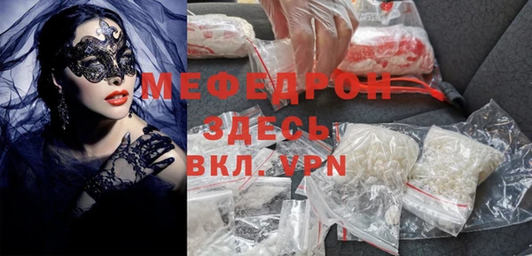 индика Пестово
