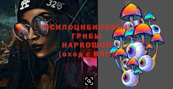 прущие грибы Переславль-Залесский