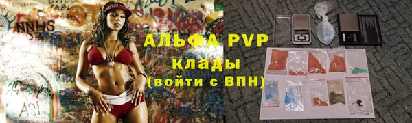 индика Пестово