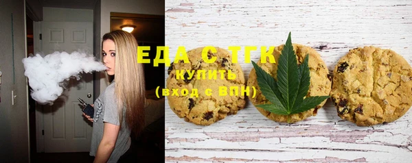 индика Пестово