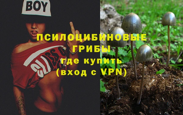 индика Пестово