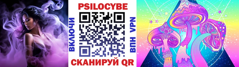 цена наркотик  Бабушкин  Галлюциногенные грибы прущие грибы 